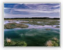 Lagunas de Cantalejo